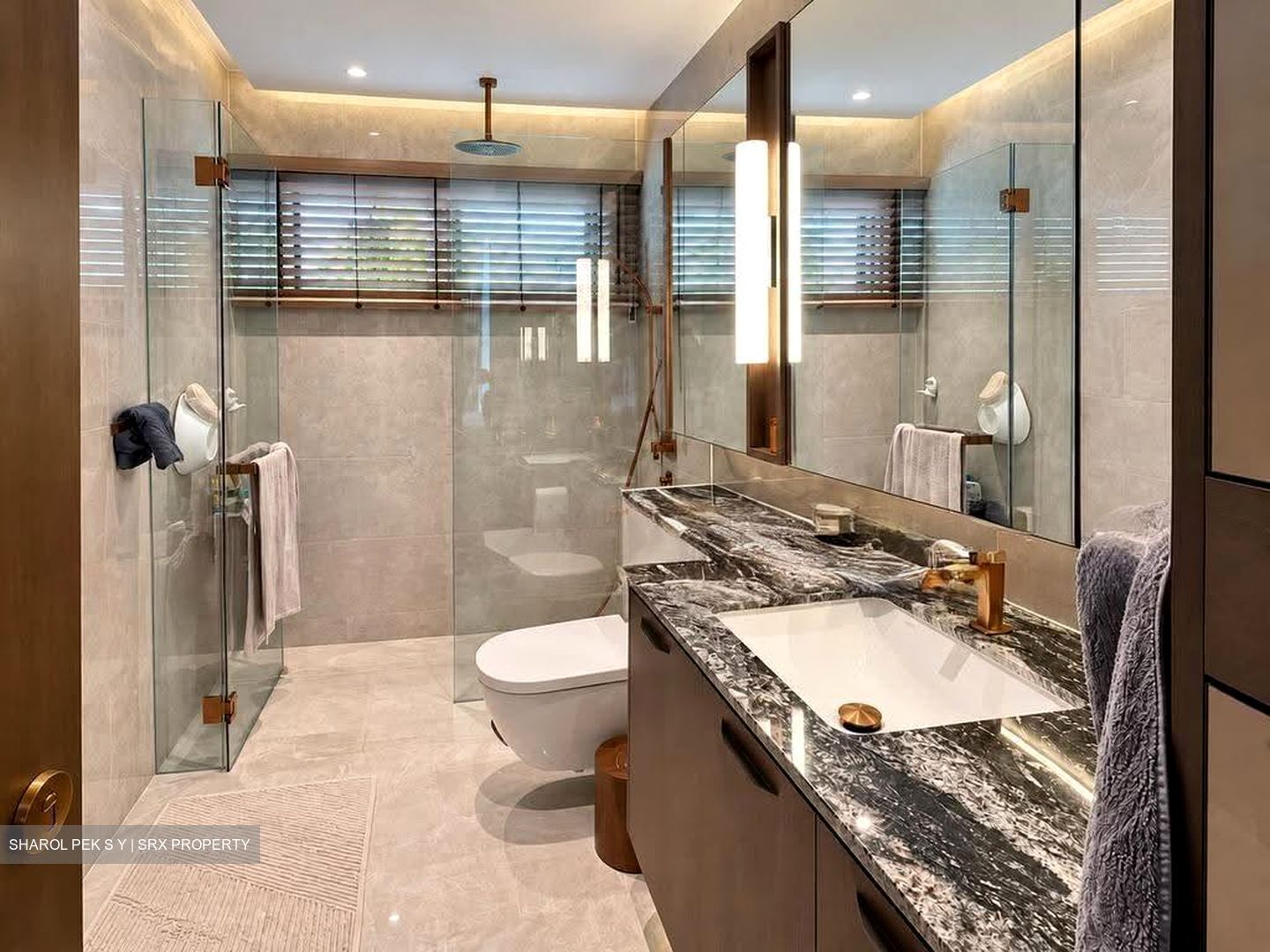The Balmoral Spring (D10), Apartment #630244851